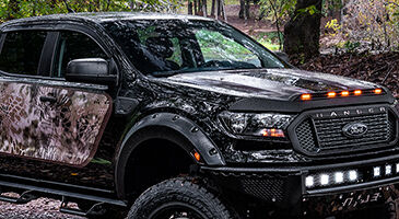Bug Guard, Bug Shield, Hood Protection