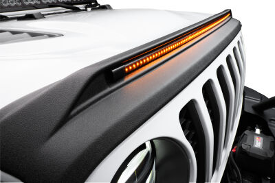 Bug Guard, Bug Shield, hood protection